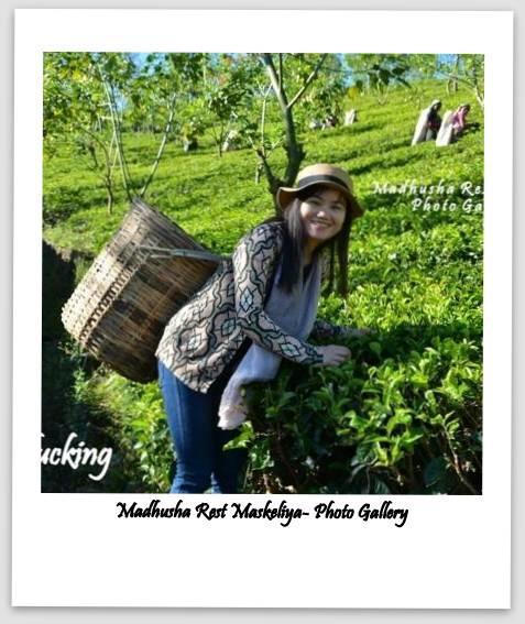 Готель Madhusha Rest Maskeliya Екстер'єр фото